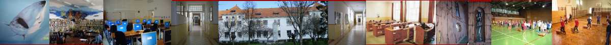 Iskolánk
              képekben